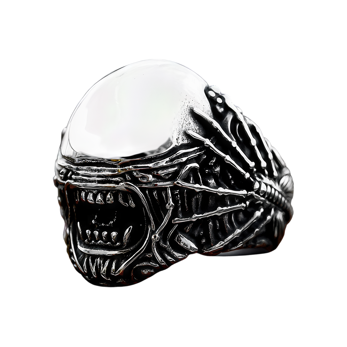 XENORA.